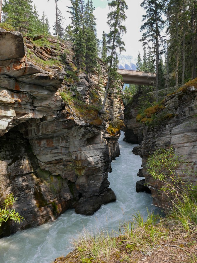 Jasper Athabasca Falls 2